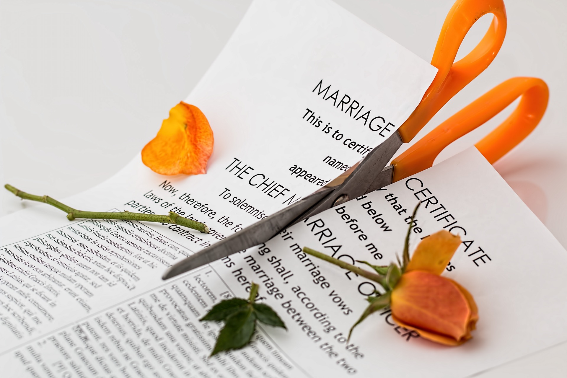 Gray Divorce - Estate Planning and Long-Term Care Planning