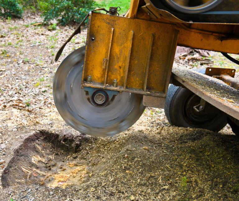 Stump Grinding in Middletown CT